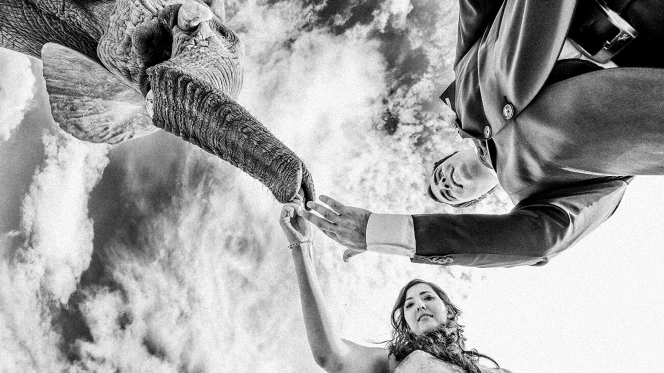 JC-Crafford-Wedding-Photographer-81
